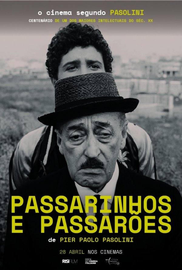 Passarinhos e Passarões